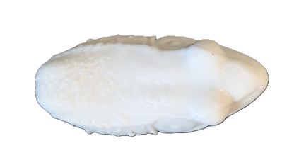 Pro Mount Bullfrog Surfacing 3-1/4in