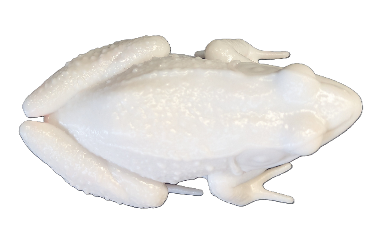 Pro Mount Bullfrog Sitting 3-3/8"