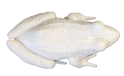 Pro Mount Bullfrog Sitting 3-3/8"