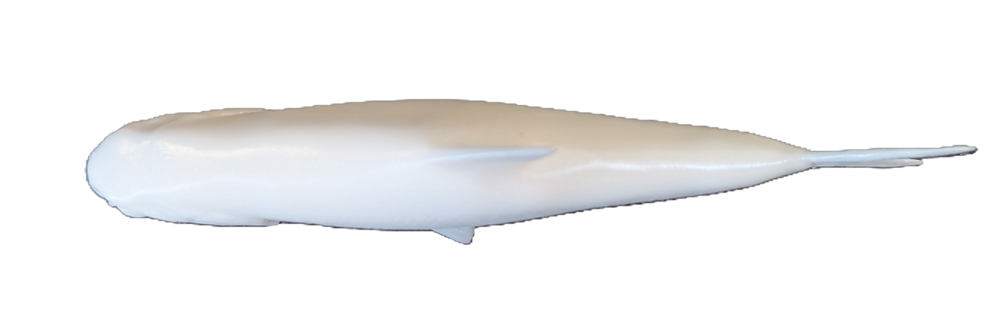 Pro Mount 4in Shad