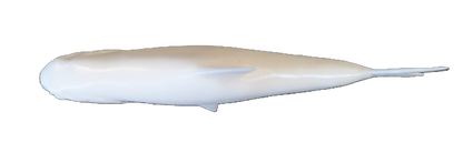 Pro Mount 4in Shad