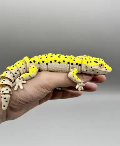 Leopard Geckos
